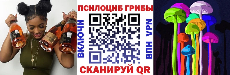 Купить закладки  Пушкино  Галлюциногенные грибы мицелий 