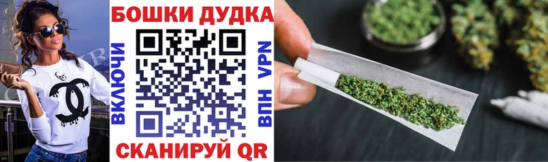 Бошки марихуана Amnesia  Купить закладки  Пушкино 